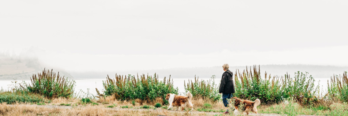 Woman and her dogs walking on smoky beach
