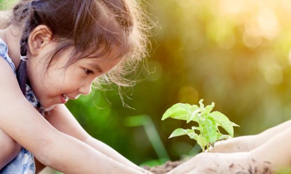 Child planting a tree.